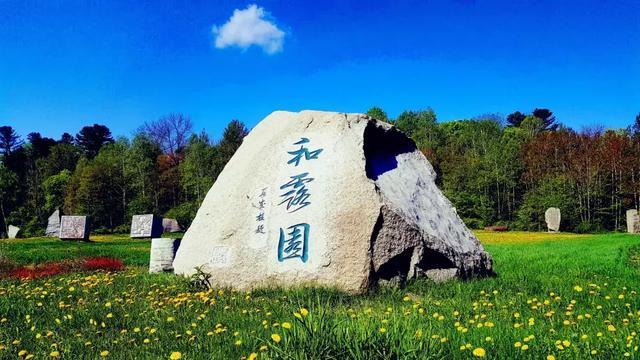 重生之星途璀璨